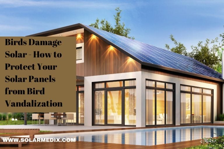 How to Protect Your Solar Panels from Bird