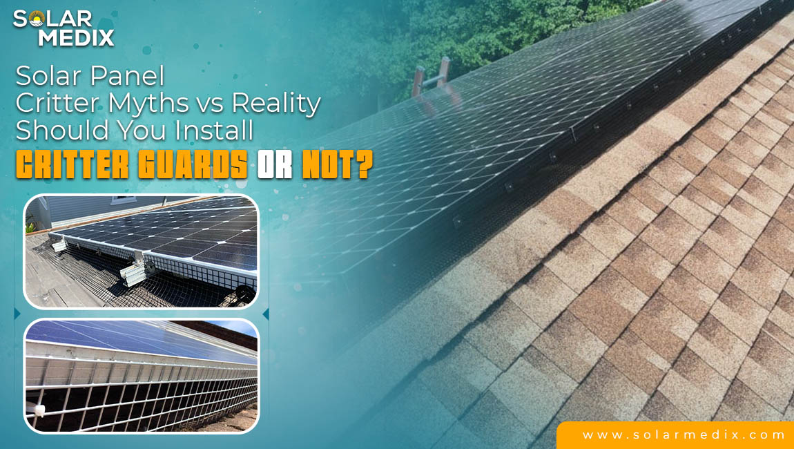 Solar Panel Critter Myths vs Reality | Should You Install Critter Guards or Not?