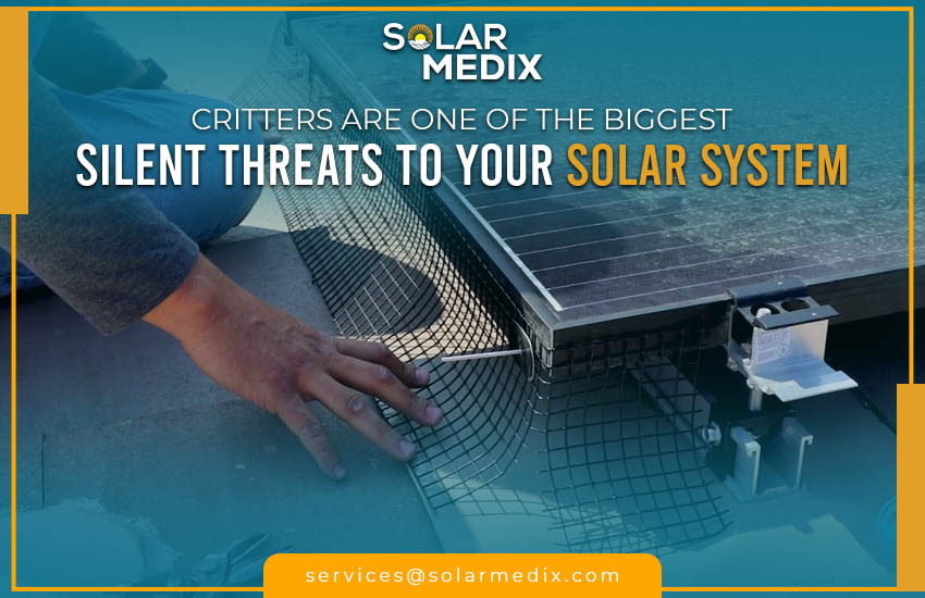 Critters Are One of the Biggest Silent Threats to Your Solar System