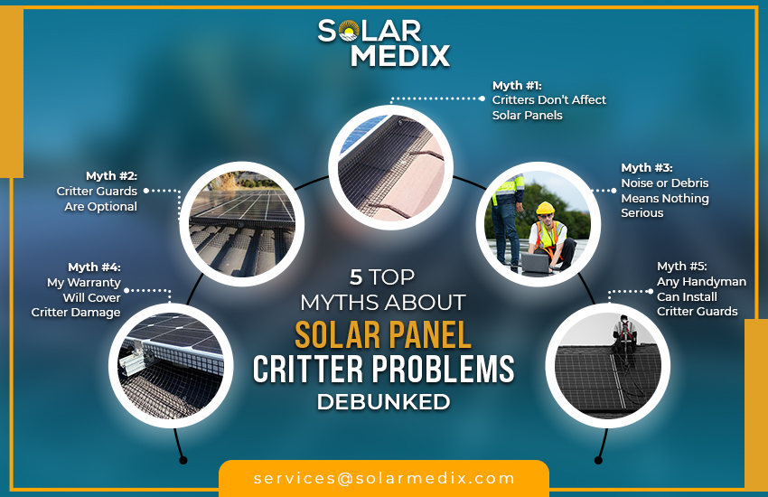 5 Top Myths About Solar Panel Critter Problems — Debunked