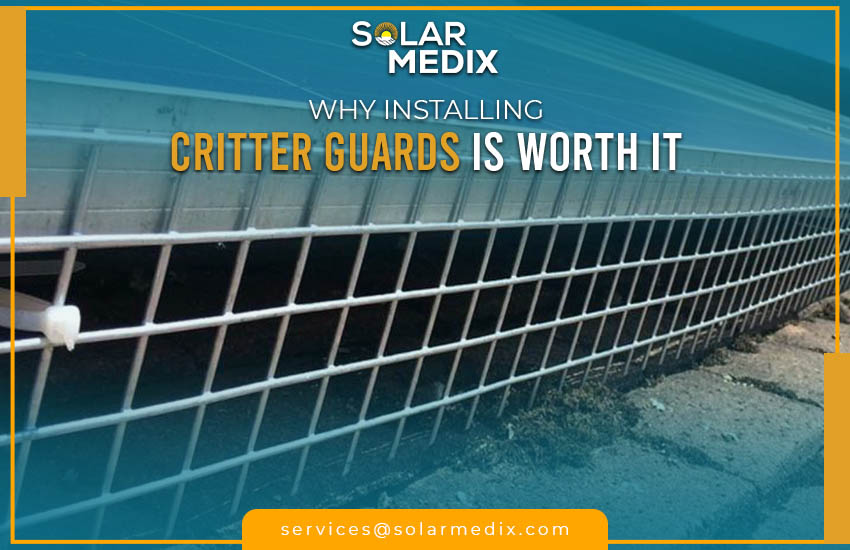 Why Installing Critter Guards Is Worth It