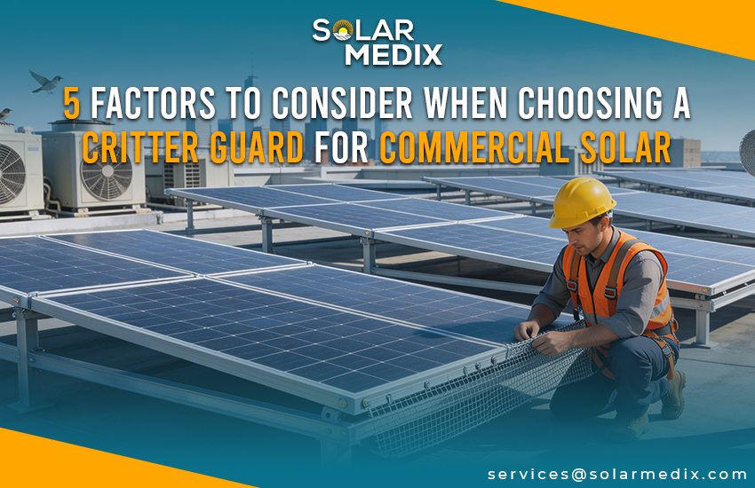 5 Factors to Consider When Choosing a Critter Guard for Commercial Solar