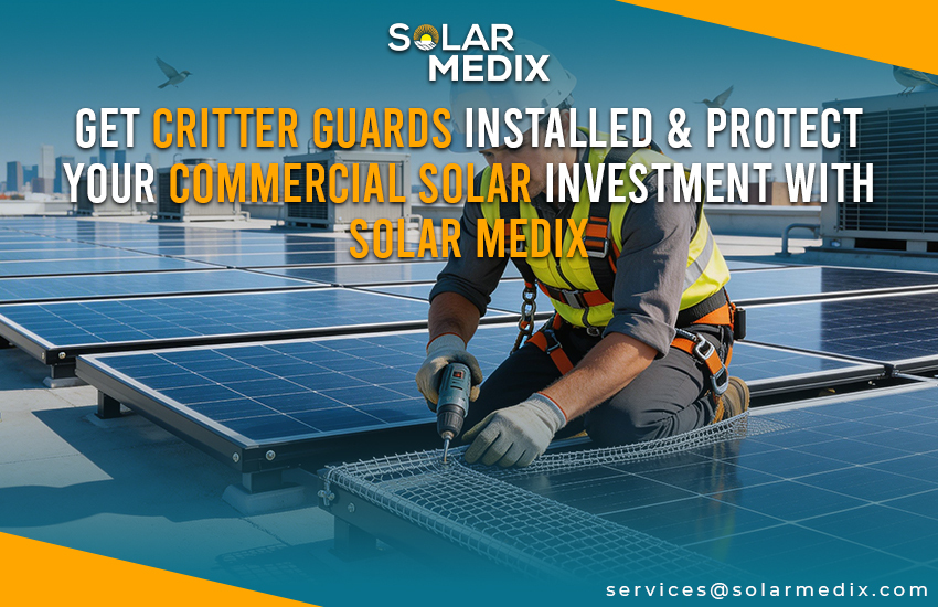 Get Critter Guards Installed & Protect Your Commercial Solar Investment with Solar Medix