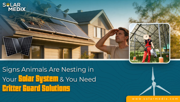 Signs Animals Are Nesting in Your Solar System & You Need Critter Guard Solutions