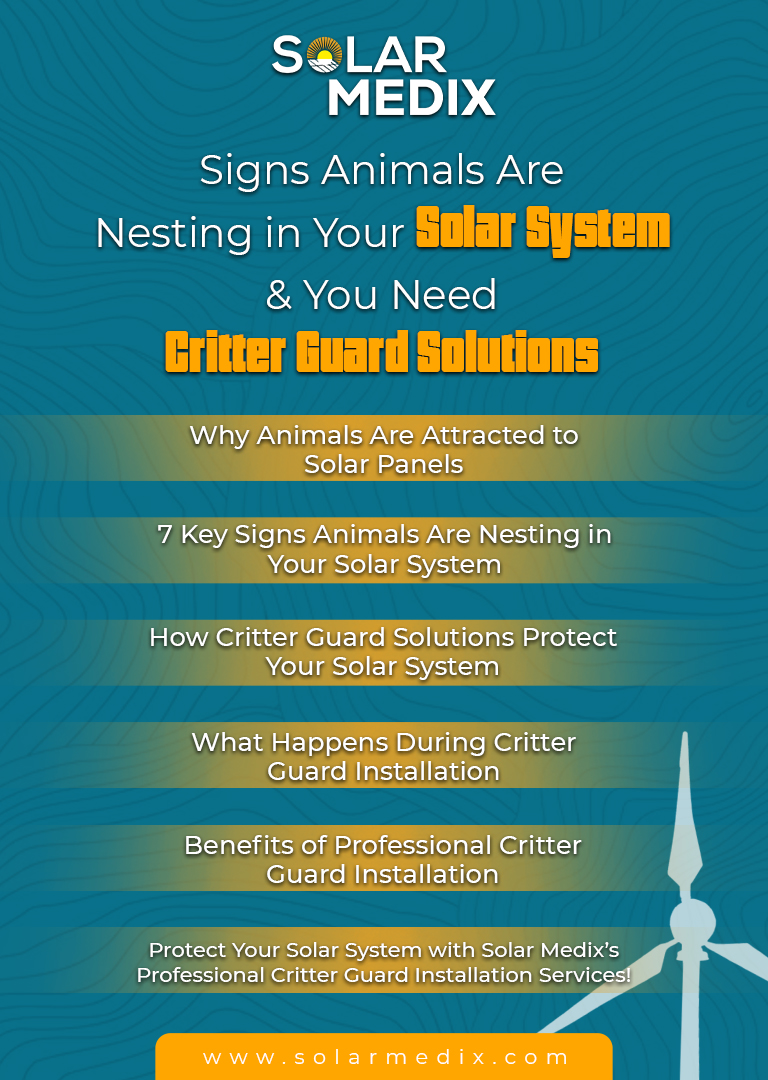 FAQs about Signs Animals Are Nesting in Your Solar System