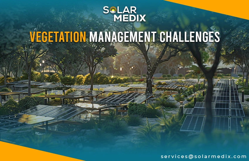 Vegetation Management Challenges